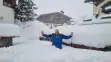 Haos provocat de zăpezi în Austria