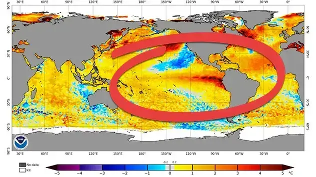 De kaart toont de huidige temperatuurafwijking van het zeeoppervlak ten opzichte van het langetermijngemiddelde over de hele wereld. 