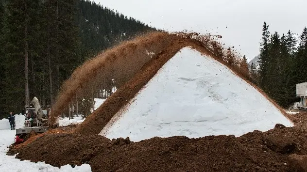 Snow is covered with sawdust in Davos, Switzerland each April.