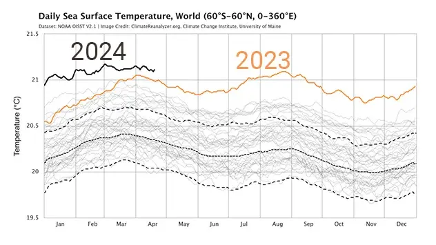 Globalna površinska temperatura oceana od ljeta 2023. temperaturna krivulja znatno je premašila onu iz prethodnih godina. - © Climatereanalyzer.org
