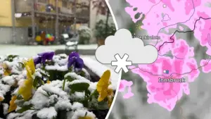 Blumenbeet und Auto im Schnee