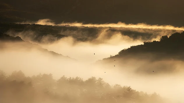 Zum Fotografieren von Nebel eignet sich besonders die Zeit rund um den Sonnenaufgang.