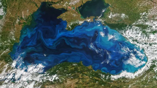 Colorful patterns in oceans are typically the result of plankton, as seen in the Black Sea in June.