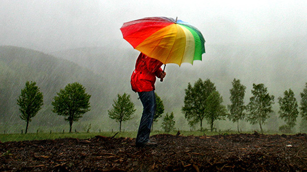 Auf freiem Gelände sollte man auf keinen Fall einen Regenschirm aufspannen, weil der Schirm ein bevorzugtes Ziel für einen Blitz sein kann.