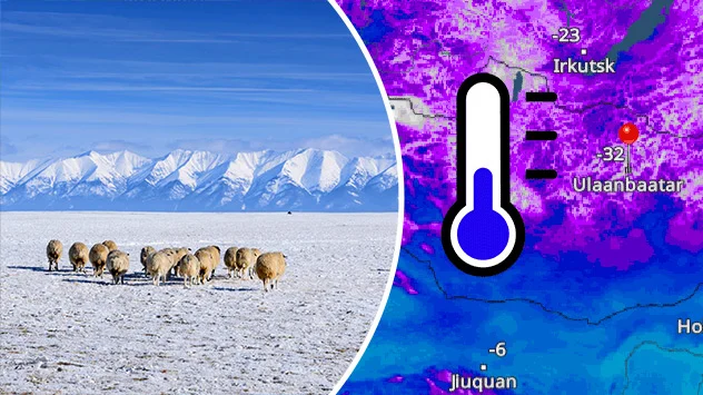 Herdentiere im Winter in der Mongolei und TemperaturRadar