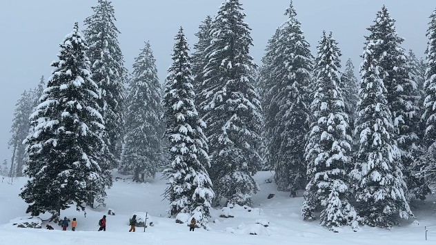 Wintersportler geniessen das Schneegestöber bei leichten Minusgraden.