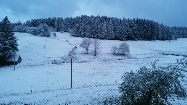 Neuschnee im Schwarzwald