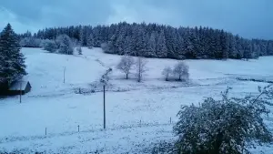 Neuschnee im Schwarzwald (c) Susanna  Winterhalter via WetterMelder Deutschland