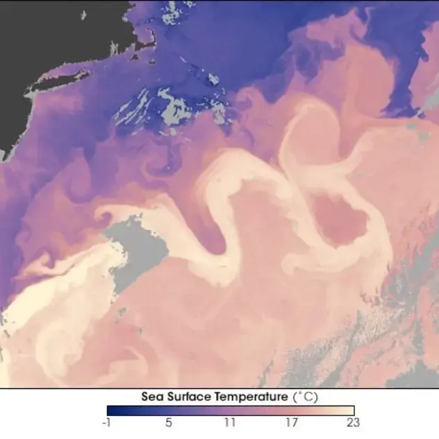Golfstrømmen ses tydeligt på kort over havets overfladetemperatur