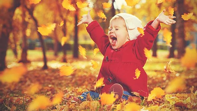 Child plays in autumn leaves