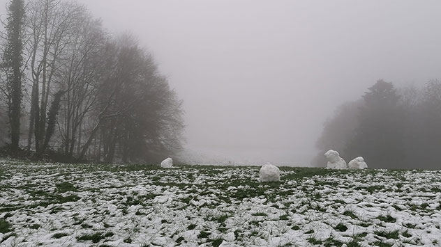 Mitte im Nebel Romaney