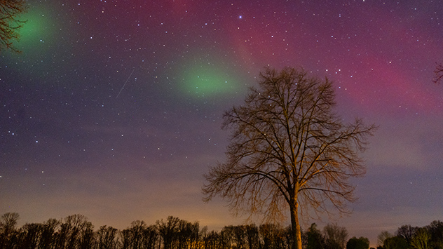 Im niedersächsischen Dannenberg an der Elbe ist das Polarlicht mit einem roten und grünen Schimmer zu sehen.