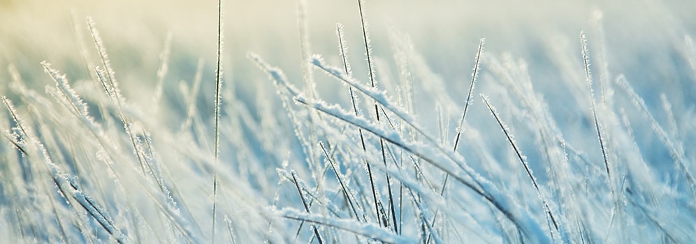 Frost - Wetterlexikon von A bis Z