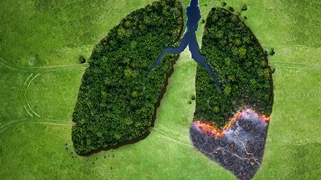 Wald wie Lunge geformt, ein "Flügel" brennt. Symbolbild für Wälder sind Lunge des Planeten, starke Rodung gefährdet sie.
