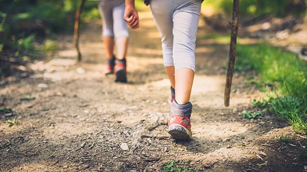 Wandernde Menschen im Wald