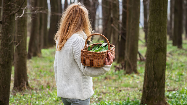 Frau sammelt Kräuter im Wald