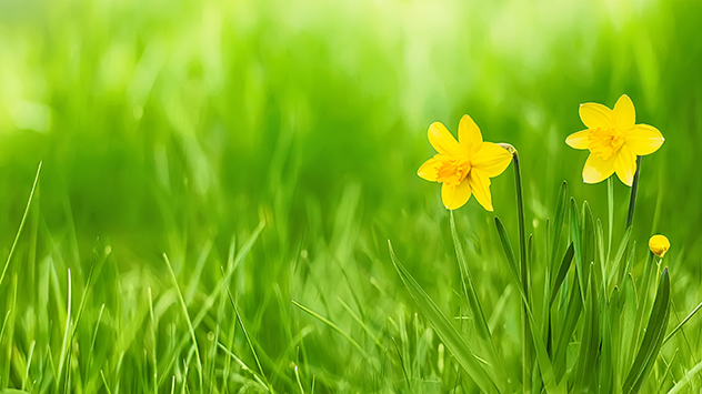 Spring 2019: Why is today first day of spring - Meteorological vs  astronomical spring date, UK, News