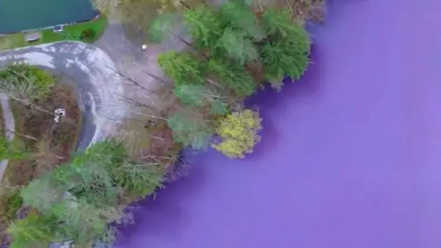 El agua se convirtió en una masa completamente violeta en un estanque de Baviera. 