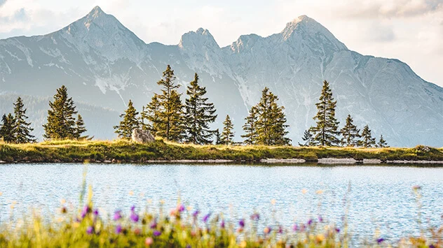 Blick über einen sommerlichen Bergsee mit Blumenwiesen und Bäumen