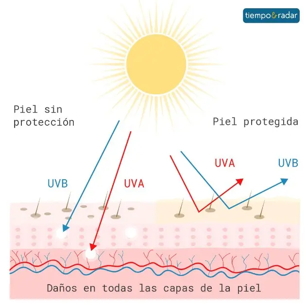 Sin una capa de protección en la piel, los rayos solares son capaces de penetrar profundamente y provocar lesiones graves. 