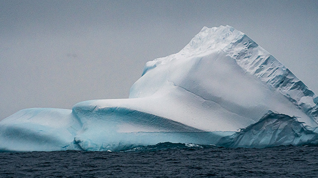 Auf der Expeditionsreise treffen die Teilnehmer auf unzählige Eisberge.