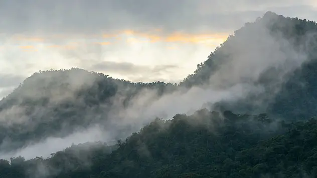 Die Bäume des Regenwalds produzieren feuchte Luft, sichtbar durch Wolken und Nebel.