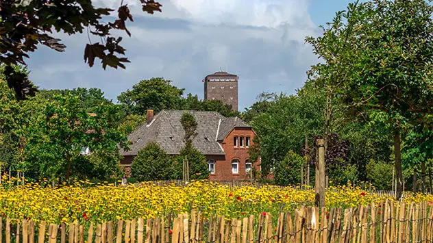 Reetgedecktes Haus mit buntem Garten auf Norderney