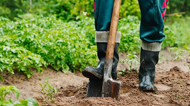 Gesund gärtnern: Richtig graben, harken und fegen