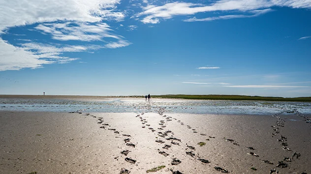 Wattwanderung auf Sylt