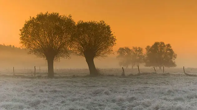 Bodenfrost und reifbedeckte Wiesen während der Eisheiligen