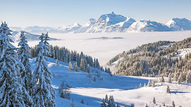 Blick auf die winterlichen Loipen im Skigebiet Les Gets