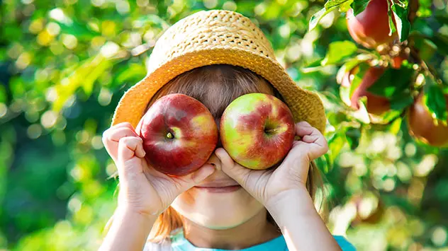Kind hält sich zwei Äpfel vor die Augen bei der Ernte