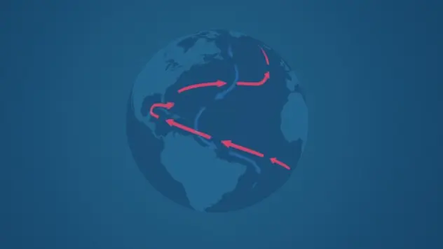 Der Golfstrom ist Teil eines komplexen Systems von Meeresströmungen. Tiefen- und Oberflächenströmungen treiben ihn an.