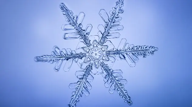 Did you know: Interesting facts about snowflakes