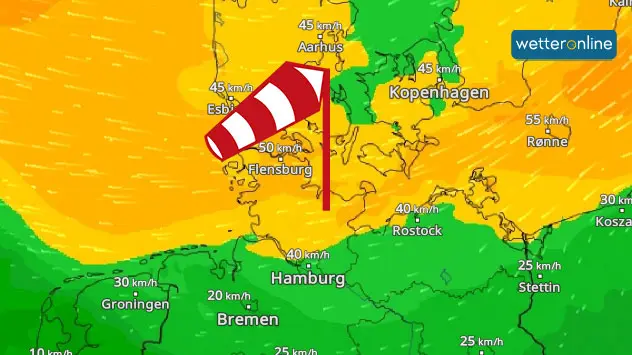 WindRadar zeigt starken Ostwind im Norden Deutschlands