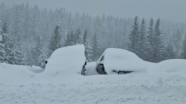 Schneemassen bedecken Autos. Im Hintergrund treibt der Wind die Schneeflocken seitwärts.