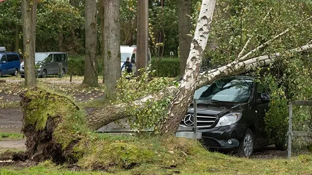 Böen bis Tempo 110 rissen im Ostseeumfeld viele Bäume um. Einige fielen auch auf Autos, wie hier in Binz auf Rügen