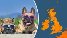 Dogs in sunglasses on the left, and a temperature map of the UK and Ireland showing highs of 23 degrees on the right.