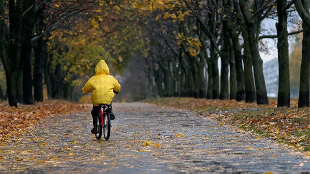 Ein Kind fährt im Herbst mit dem Fahrrad über eine nasse, mit Laub bedeckte Straße. 