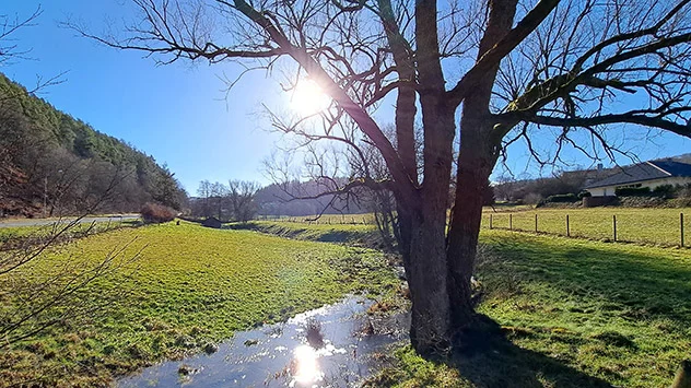 © Kathrin Wenzel Landschaft in Nordhessen im Sonnenschein