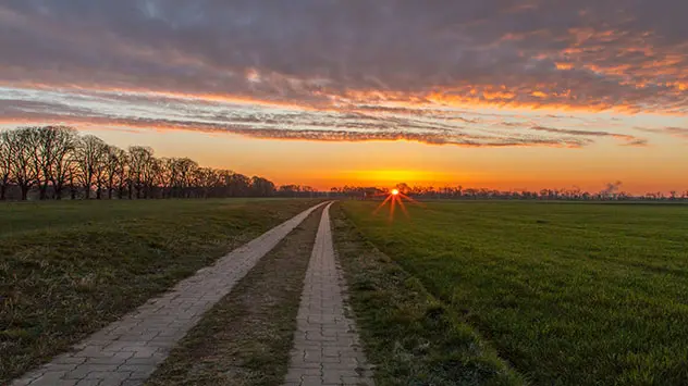 Sonnenaufgang über einem Feld in Sachsen