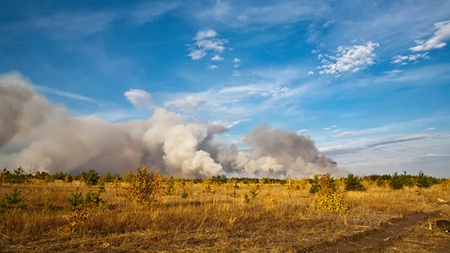 Wald- und Buschbrand