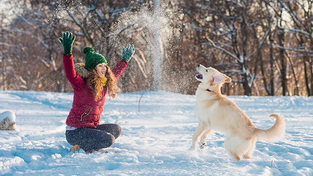Frau und Golden Retriever spielen im Schnee