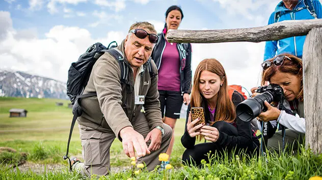 Naturführer erklärt die Pflanzen auf einer Wanderung