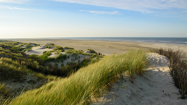 Dünenlandschaft am Hooge Hörn