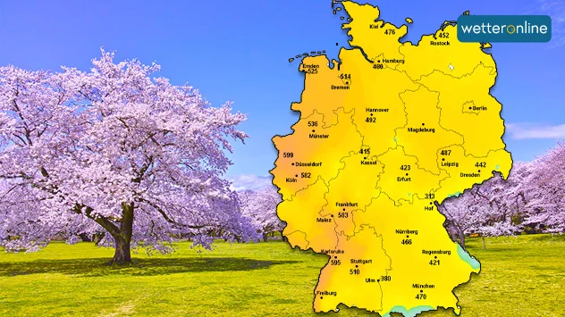 Blühende Kirschbäume - Karte mit GTS, im Westen Deutschlands über 530 Grad