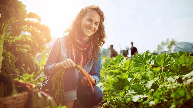 Frau erntet Gemüse auf Hausdach