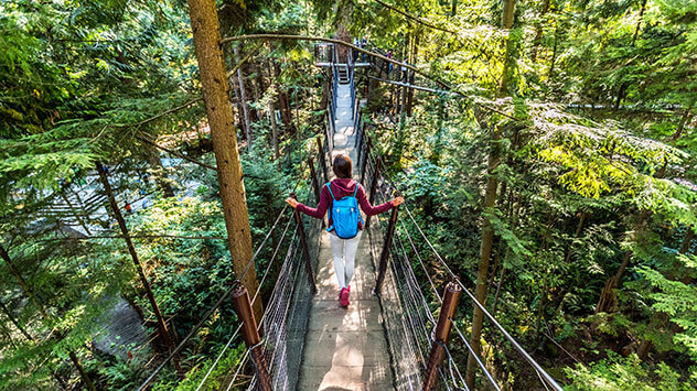 Frau wandert über Hängebrücke im Wald
