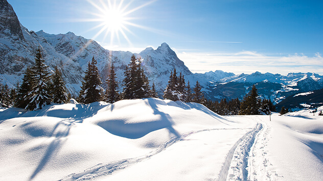 Skiloipen in der Sonne