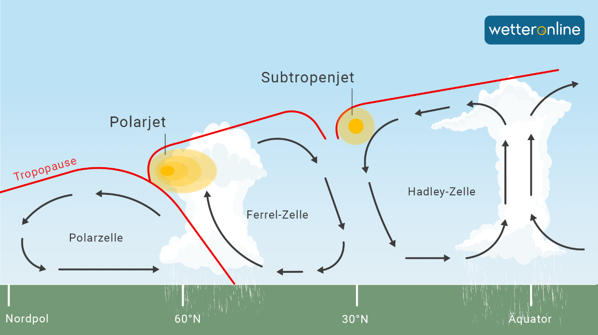 Dreizellen-Modell der atmopshärischen Zuirkulation mit Polarzelle, Ferrel- und Hadleyzelle